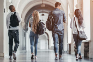 schools and universities